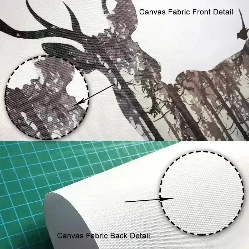 Beautiful Dark Green Forest Fo - Photography Night review and price