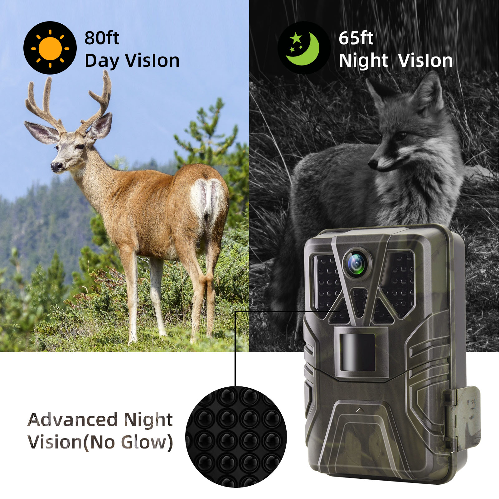 Wildlife Trail Camera 36MP 2.7 - Photography Term review and price