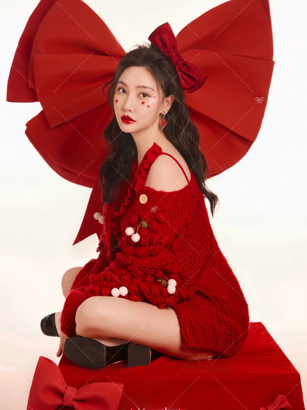 Red Sweater Christmas Theme Ne - Photography Of The Year review and price