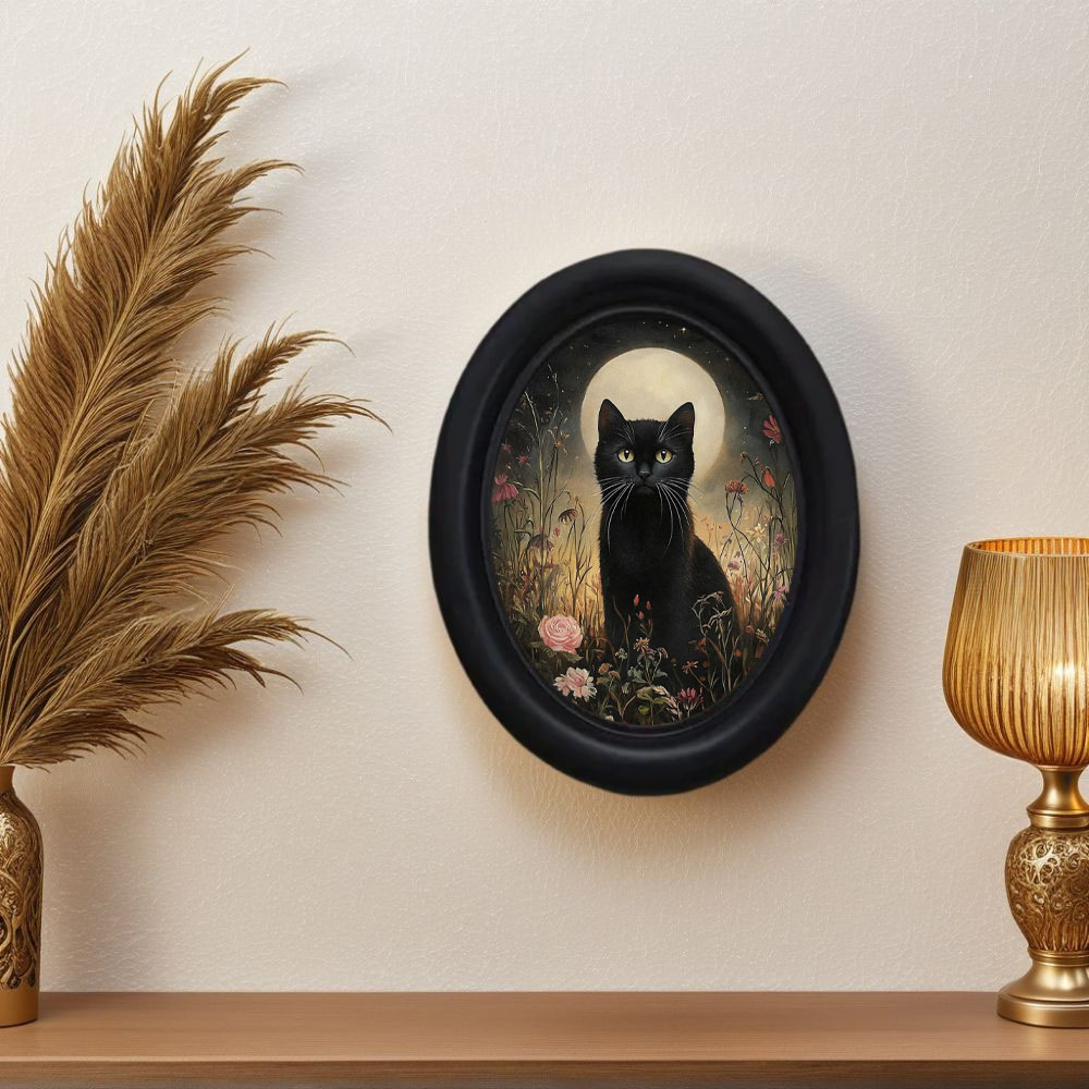 1 Piece Gothic Victorian Retro - Photography Night review and price